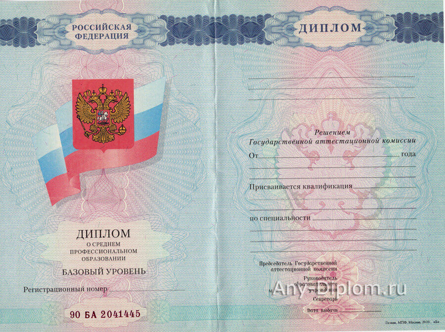 Дипломы техникумов, колледжей, училищ 2008-2010